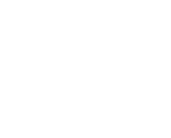 iVT logo 