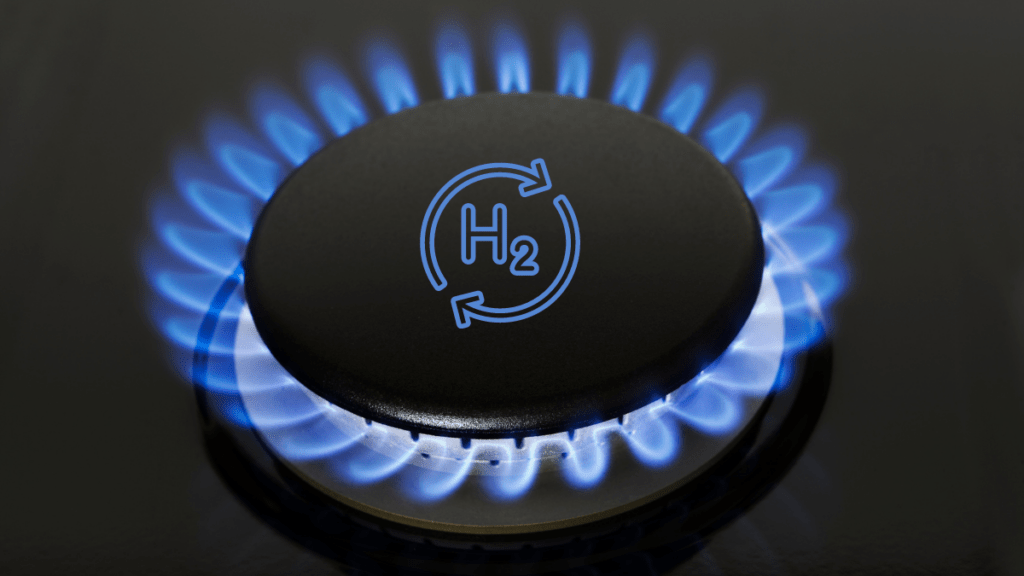 blue flame, natural gas ring from burner