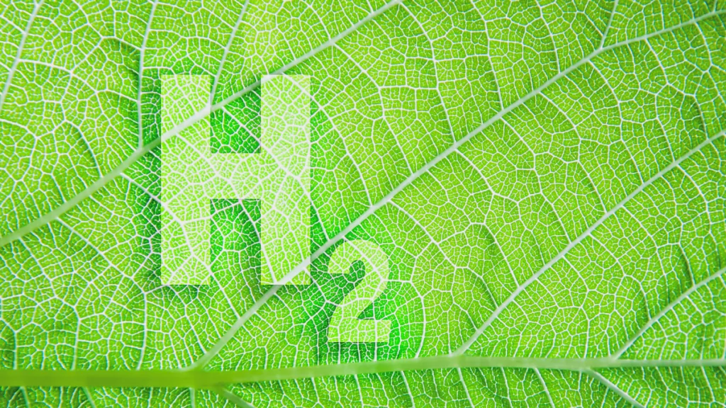 green hydrogen
