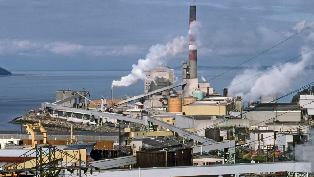 Picture of a pulp mill in British Columbia